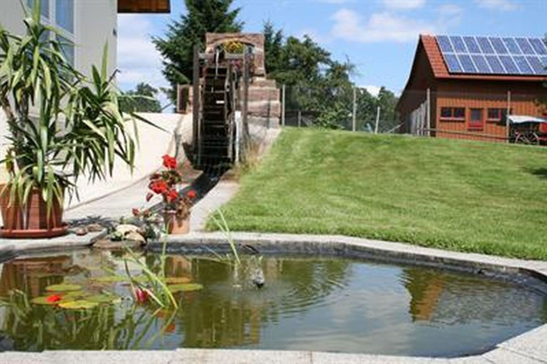 Teich Hotel Sonnenhof
