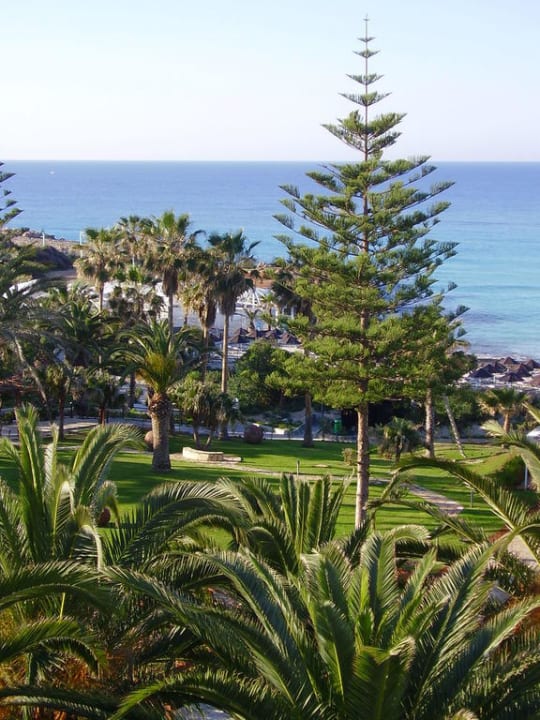 Blick vom Balkon in den Garten Hotel Nissi Beach Resort