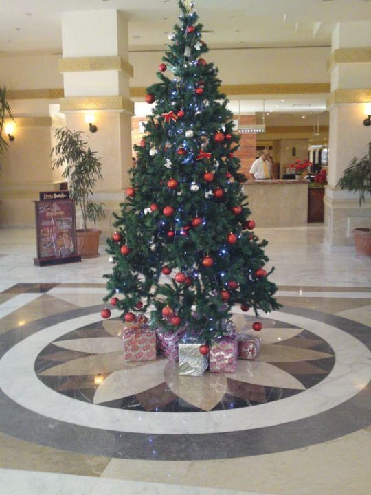 Weihnachtsbaum Sindbad Club