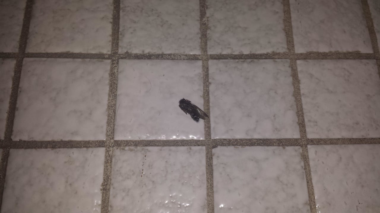 Ekelhaft Hotel Gasthof zur Eyachbrücke