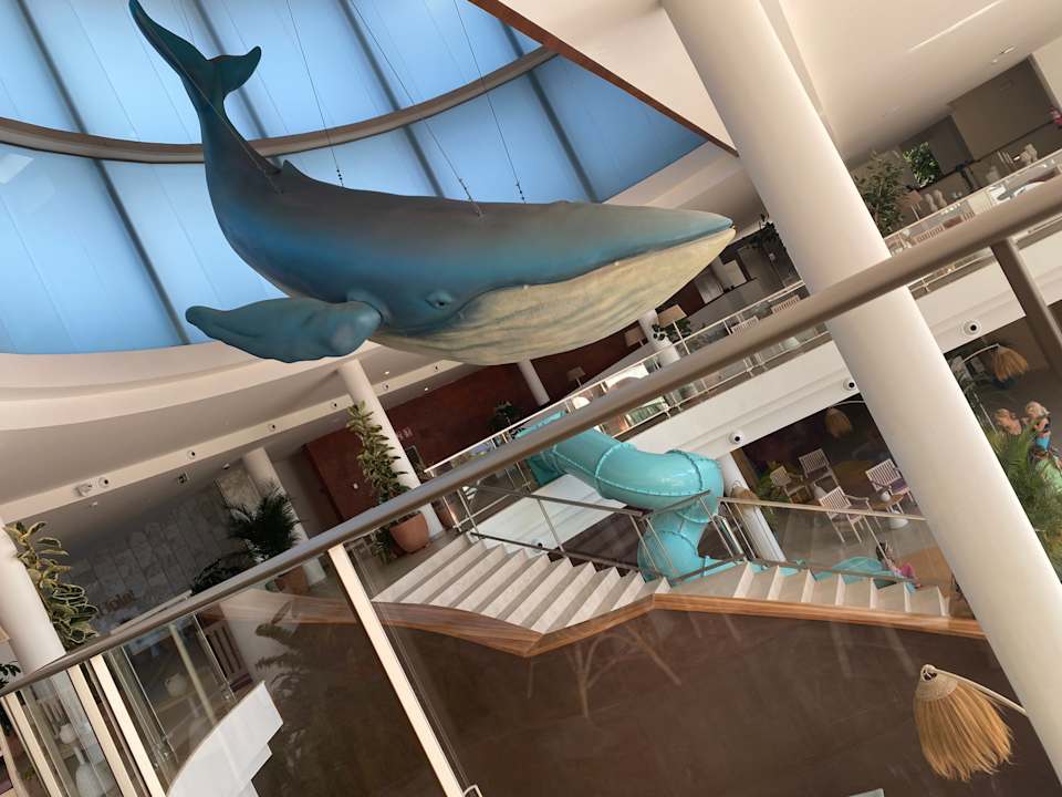 Lobby Iberostar Waves Gaviotas Park