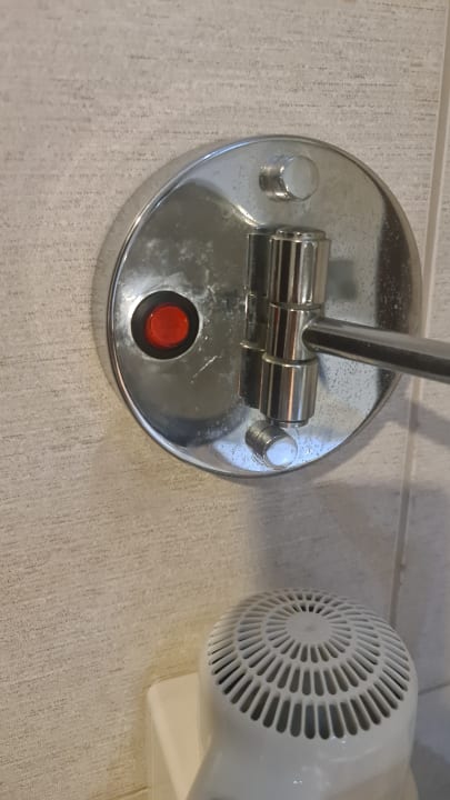 Zimmer Kamelya Aishen Club