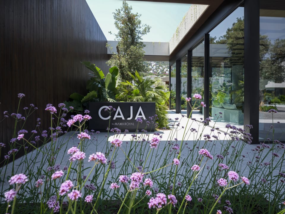 Sonstiges Caja by Maxx Royal