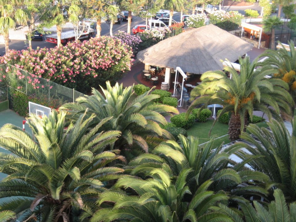 Bar Ole Tropical Tenerife