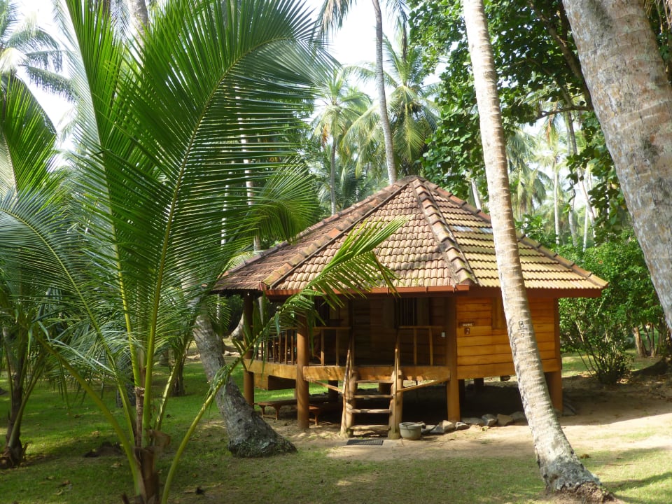 Standard Cabana Palm Paradise Cabanas