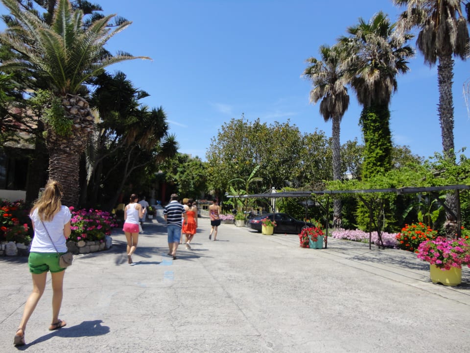 Ogród Apollon Hotel