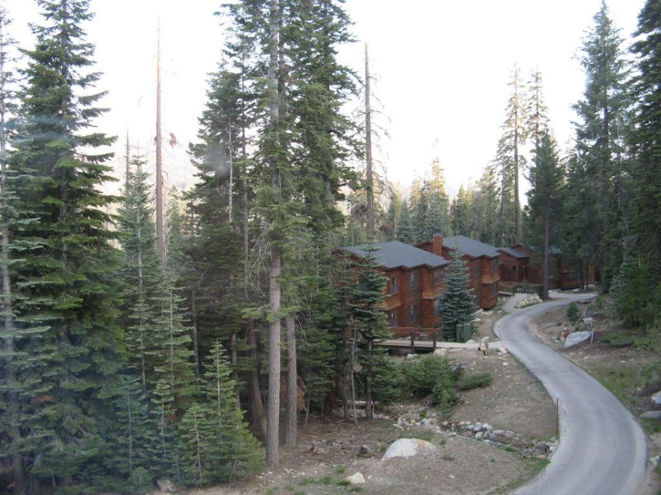 Wuksachi Lodge: Fensteraussicht Hotel Wuksachi Village & Lodge