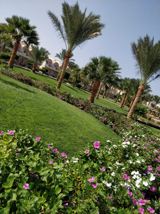 Gartenanlage Three Corners Sea Beach Resort