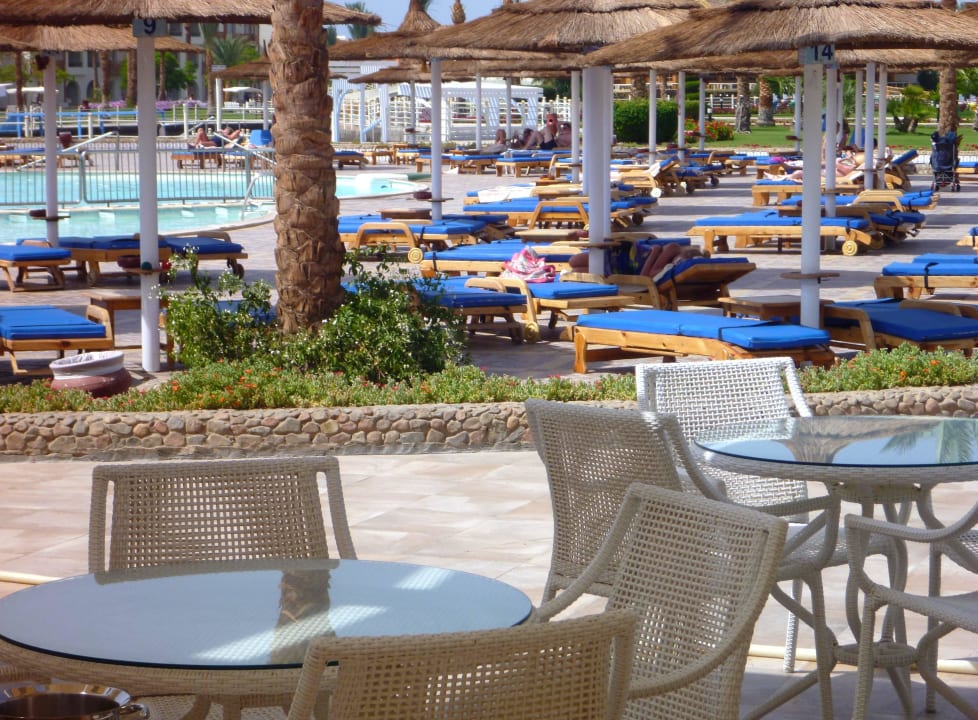 Am Pool Pickalbatros Dana Beach Resort - Hurghada