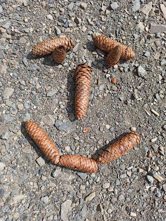 Sonstiges Hotel & Gasthof Hubertushöhe