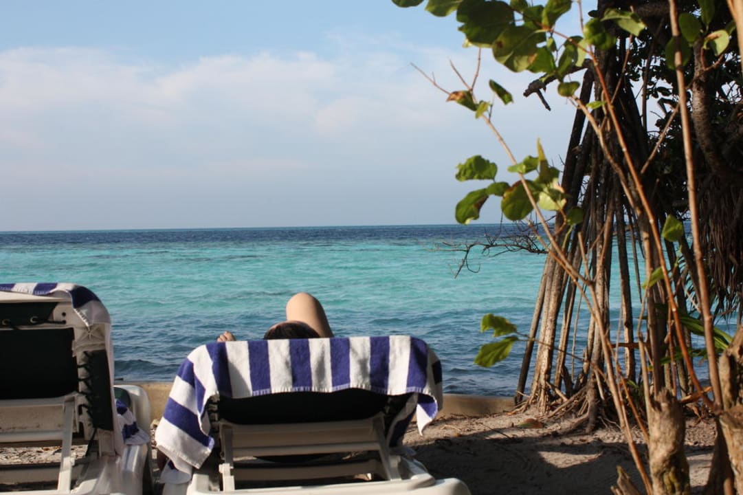 Ausblick von Beachvilla 137 Vilamendhoo Island Resort & Spa