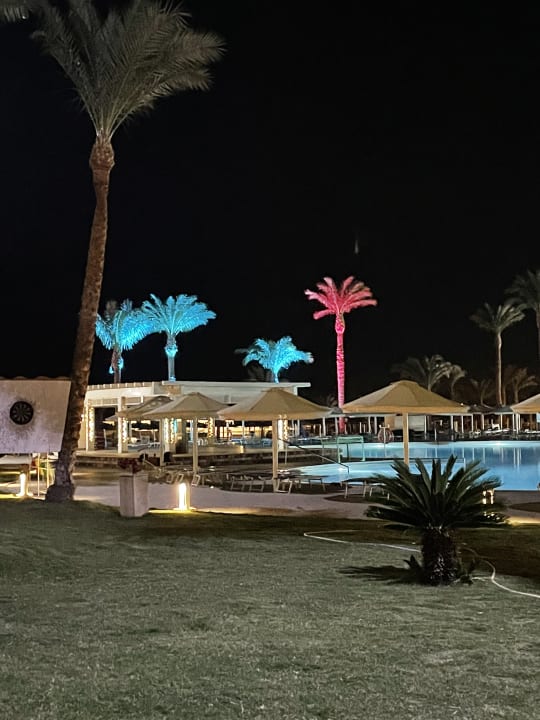 Pool Beach Albatros Resort