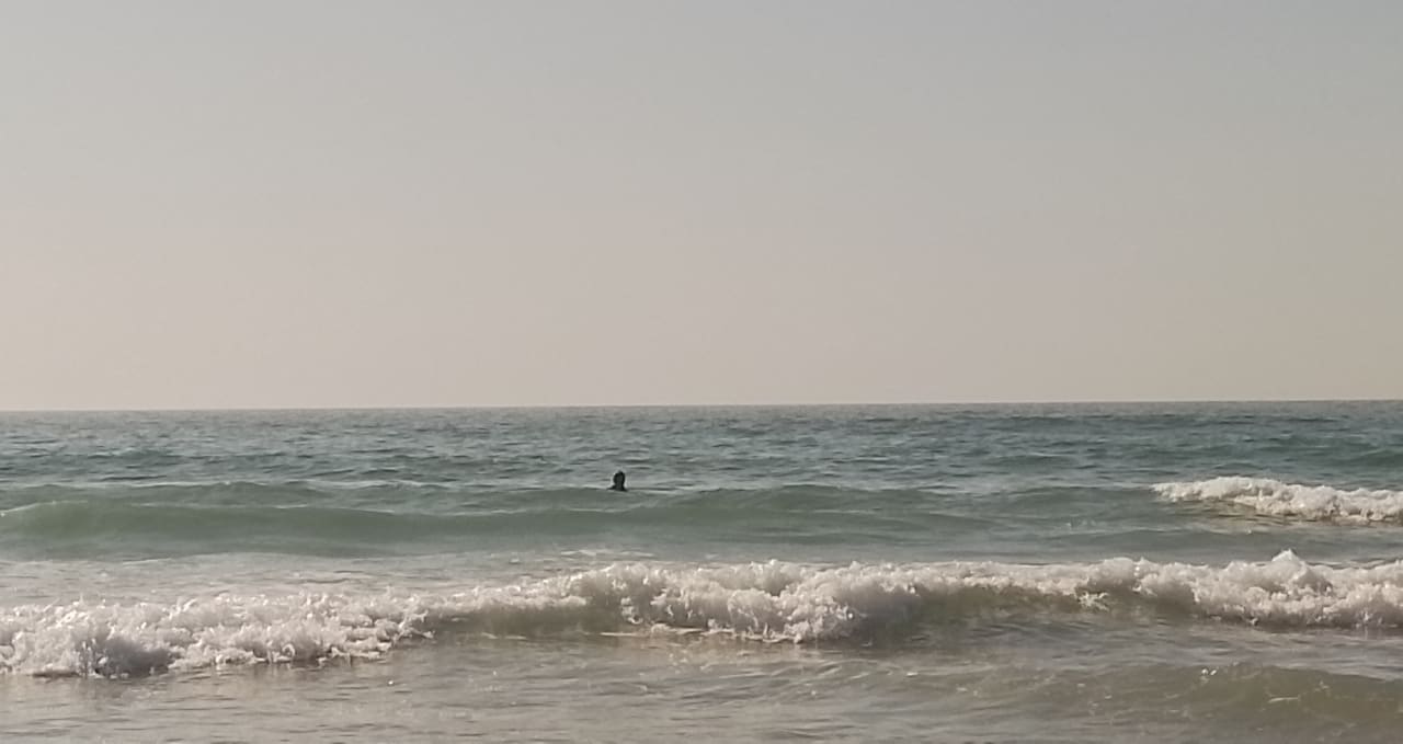 Strand Pickalbatros White Beach Resort