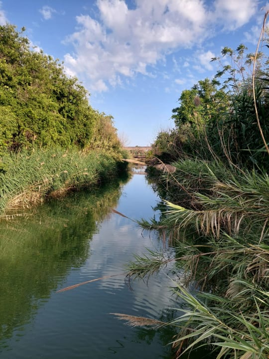 Gartenanlage Sunis Elita Beach Resort & Spa