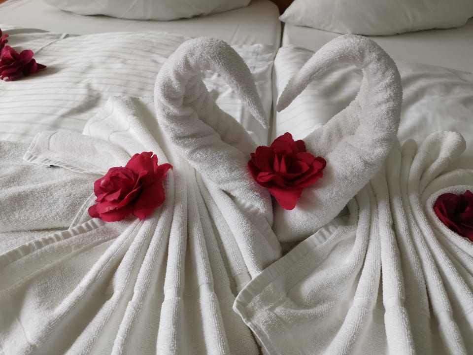 Zimmer Moselstern Hotel Brixiade & Triton