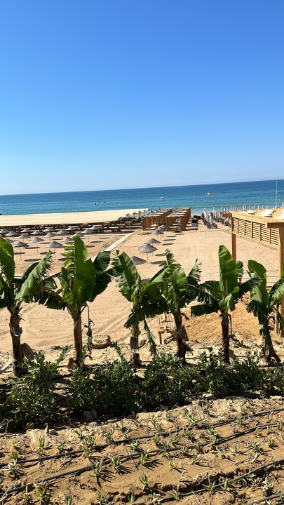 Strand Jacaranda Luxury Resort