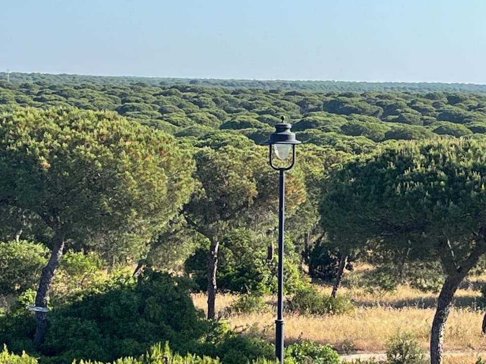 Ausblick Garden Playanatural - Adults only