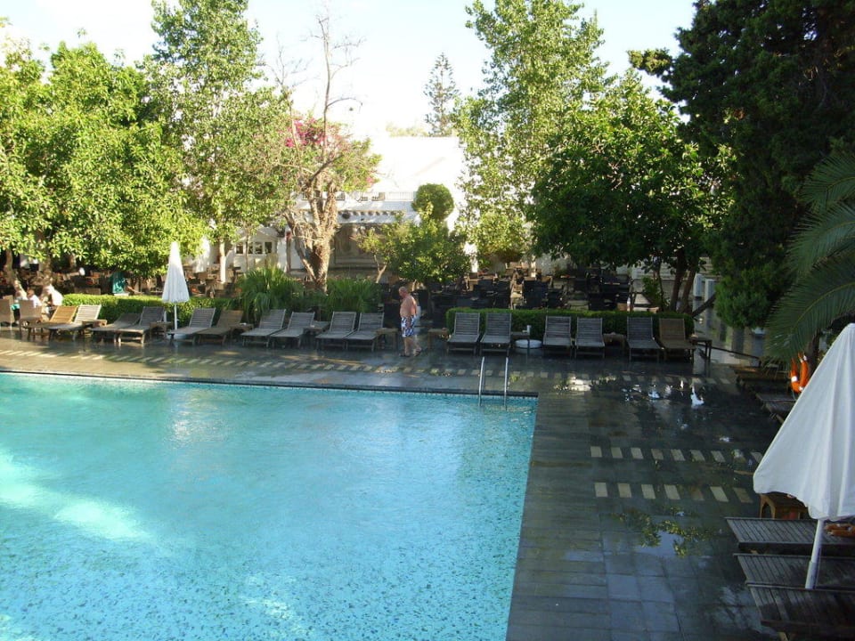 Pool  The Orangers Beach Resort and Bungalows