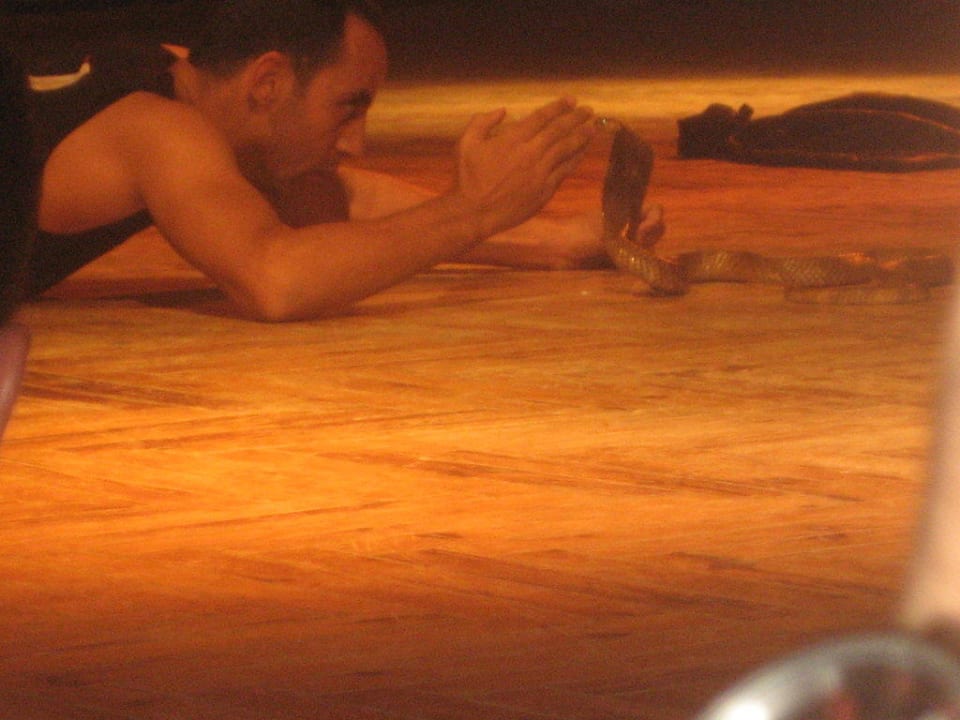 Cobra Show Beach Albatros Resort