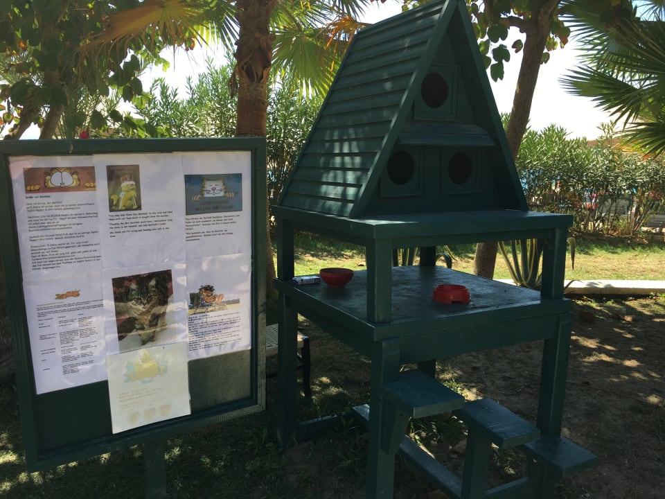 Sonstiges Saphir Resort & Spa