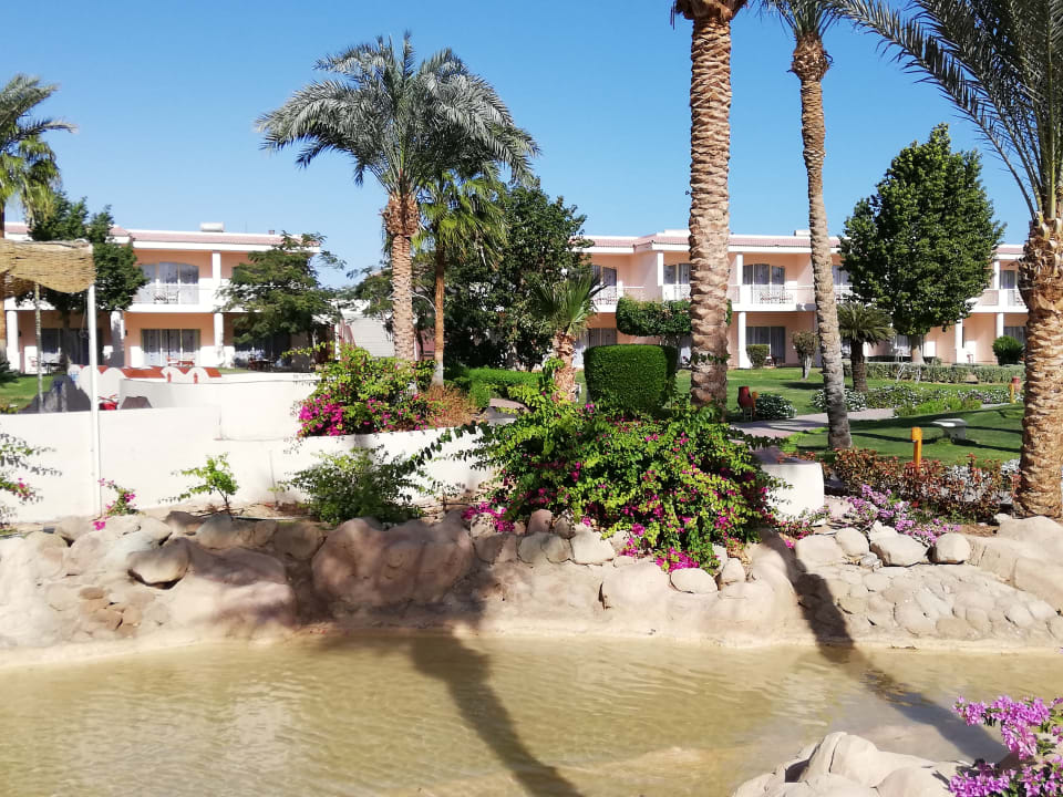 Außenansicht Parrotel Beach Resort