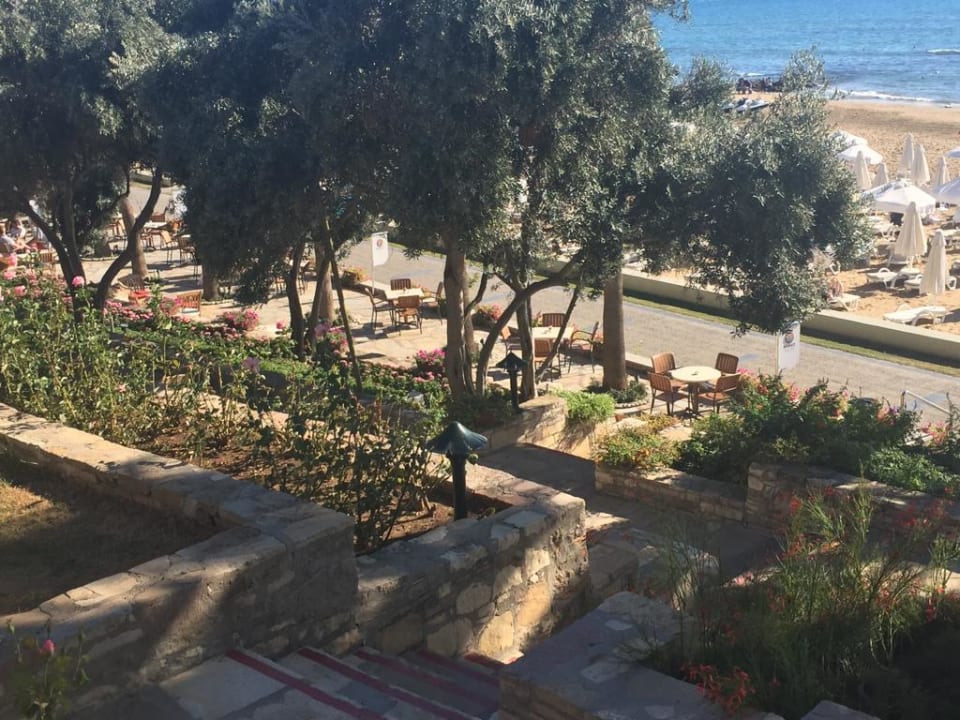 Gartenanlage Arum Barut Collection