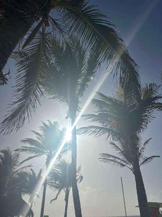 Strand Viva Azteca by Wyndham - All Inclusive Resort