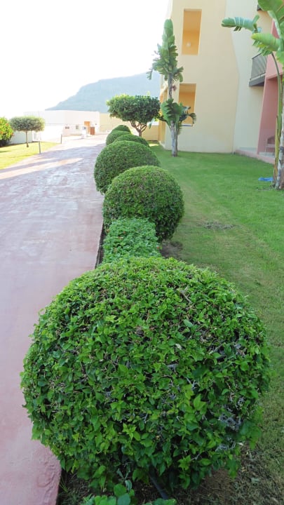 Grünanlage Lindos Mare, Seaside Hotel