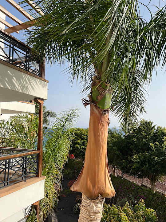 Zimmer Princesa Yaiza Suite Hotel Resort