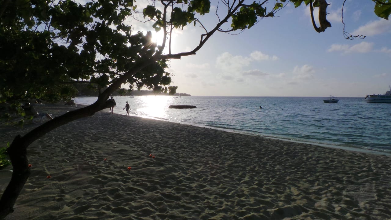 Strand bei Sonnenuntergang Kuramathi Maldives