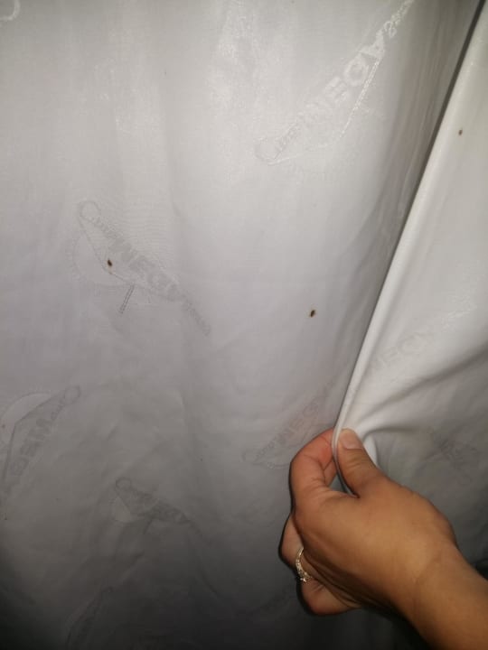 Dreck Asteria Collection Side