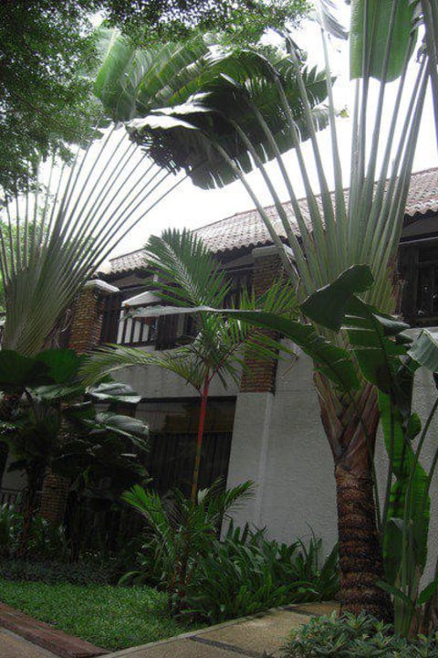 Garten Woodlands Hotel & Resort
