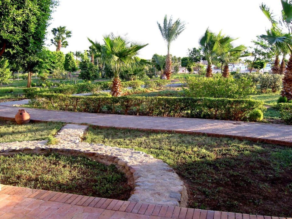 Blick in den Garten Lotus Bay Beach Resort