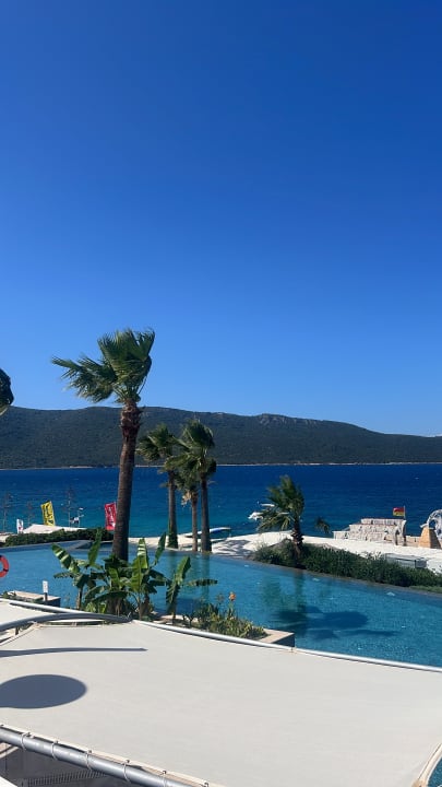 Ausblick TUI MAGIC LIFE Bodrum - Adult Only (16+)