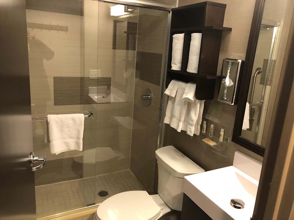 Badezimmer Holiday Inn Manhattan-Financial District