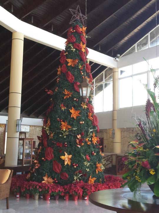 Hotel Grand Palladium Palace Resort, Spa & Casino Hotel Grand Palladium Palace Resort, Spa & Casino