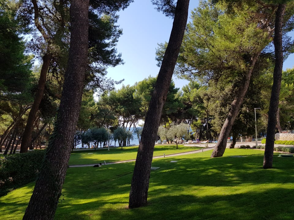 Gartenanlage Park Plaza Arena Pula