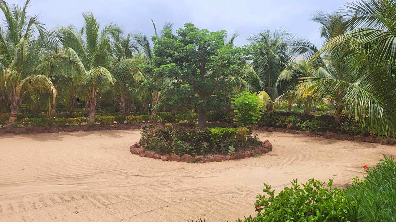 Gartenanlage Hotel Riu Baobab - All Inclusive