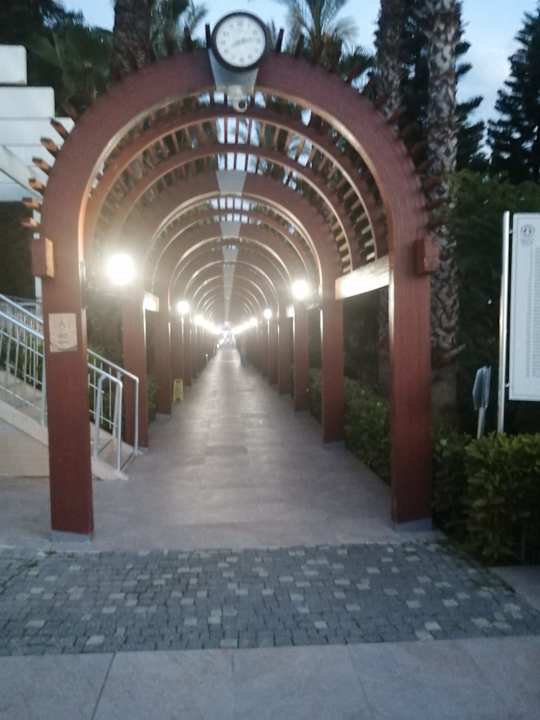 Gartenanlage Hotel Delphin Diva