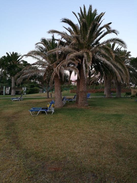 Gartenanlage Anissa Beach & Village