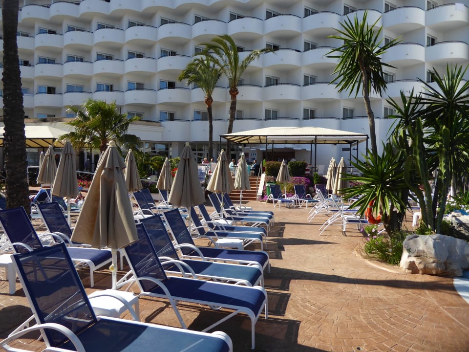 Garten Hipotels Hipocampo Playa