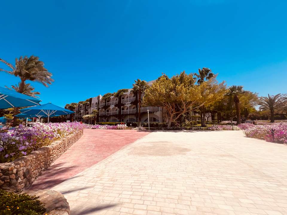 Gartenanlage Desert Rose