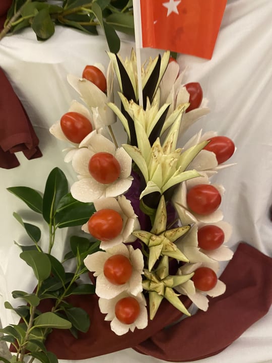 Gastro Seashell Vega