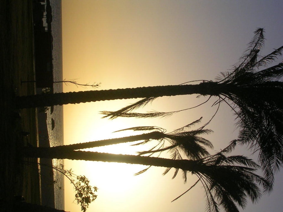 Sunrise Hotel Gorgonia Beach Resort