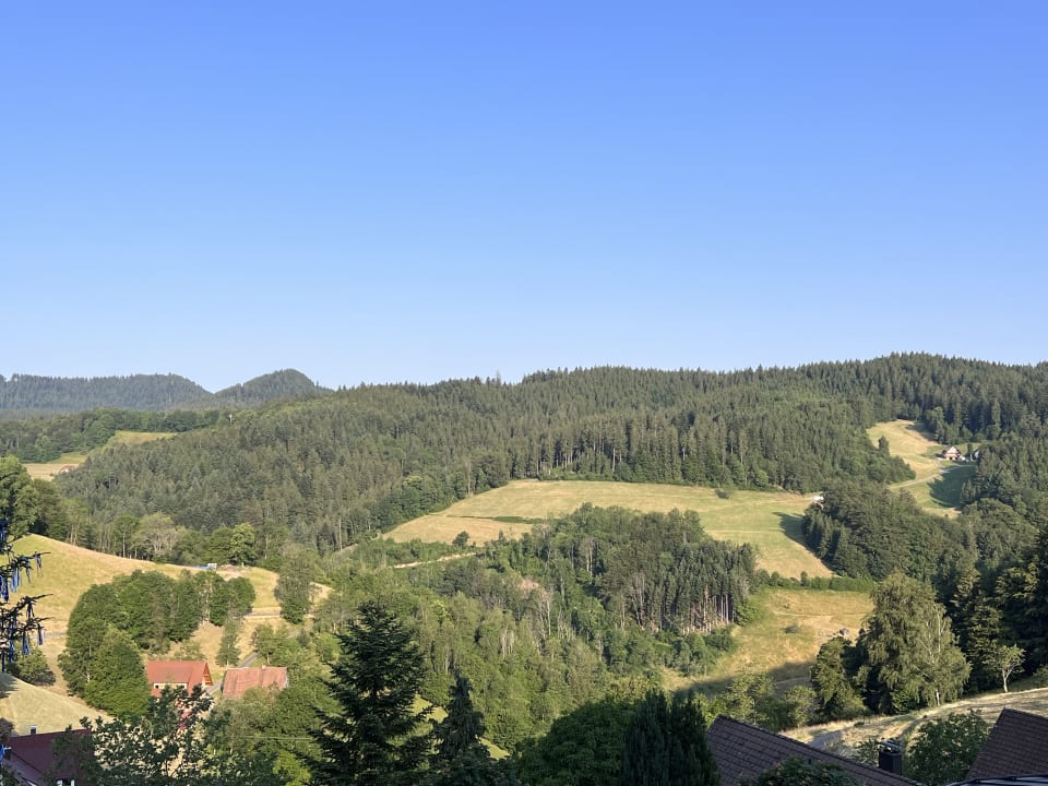 Ausblick Schwarzwald Resort Dollenberg