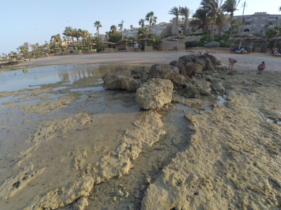 Strand Pickalbatros Citadel Resort
