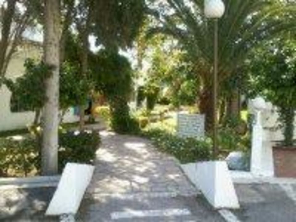 Weg zur Gartenanlage The Orangers Beach Resort and Bungalows