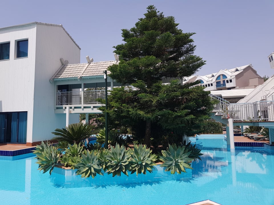 Pool Susesi Luxury Resort