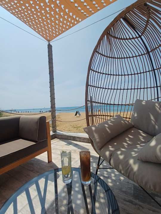 Strand Seashell Vega