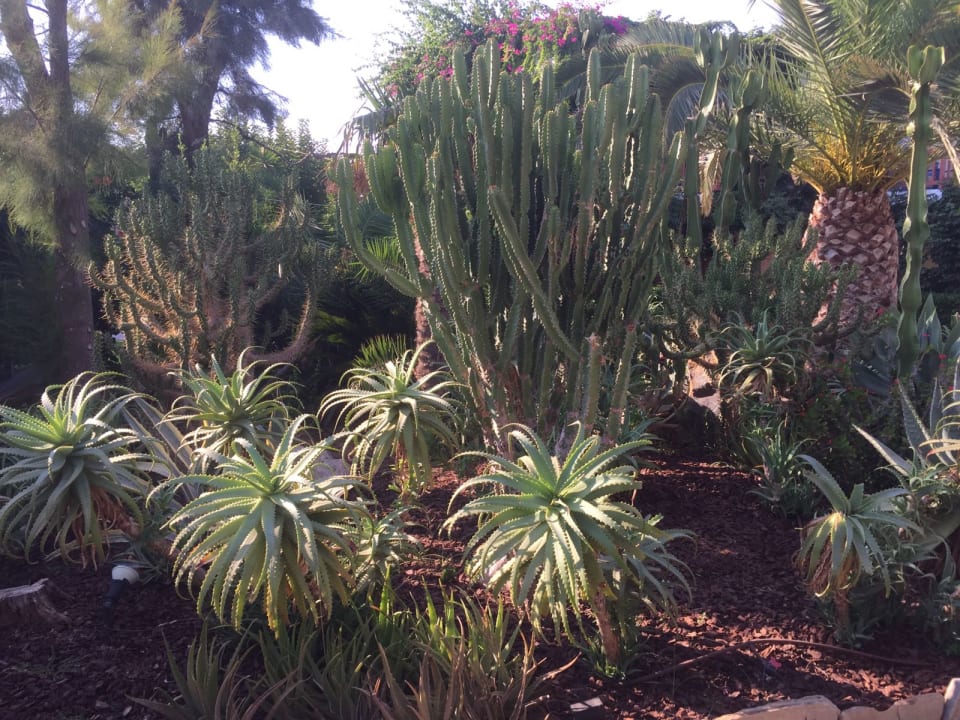 Gartenanlage Anissa Beach & Village